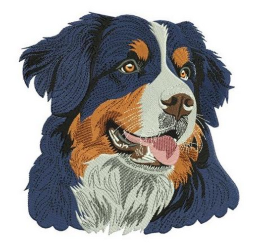 "Bernese Mountain Dog" Hoodie Adult