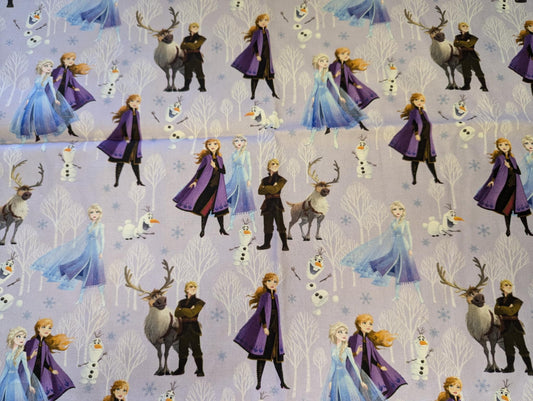"Frozen" Embroidered Minky Blanket (personalised}
